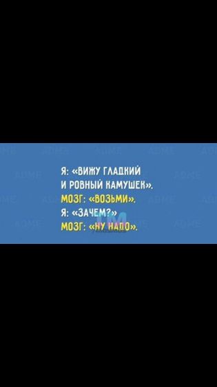 Из вк. Не смогла пройти мимо)
