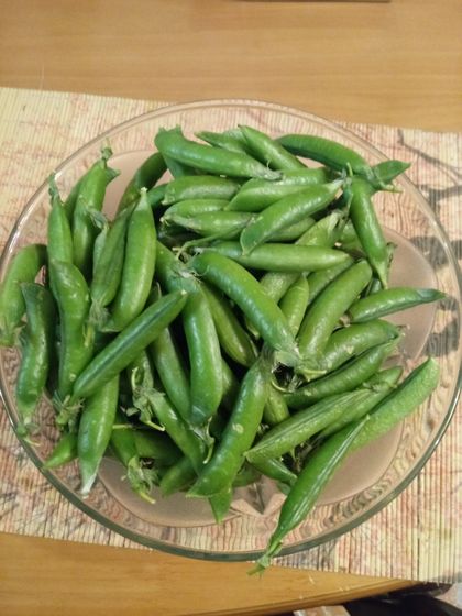 Любимыем вкусняшки?