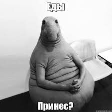 О еде 🤤
