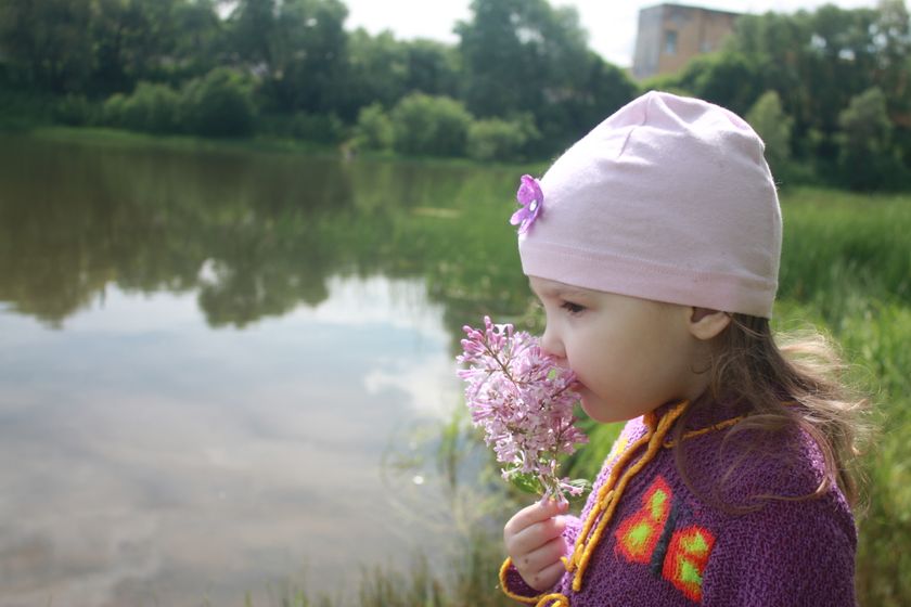 Пол дня лета