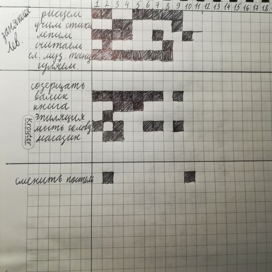 Bullet Journal (4)