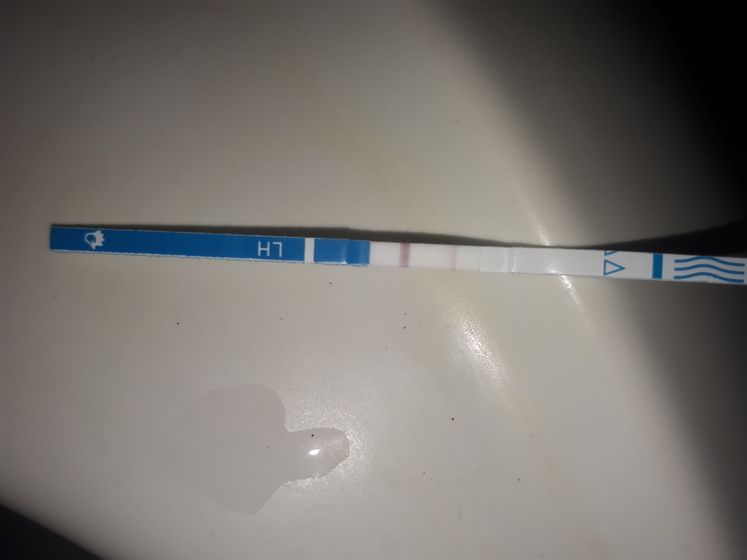 Тест 8 и 9 (сегодня) дц