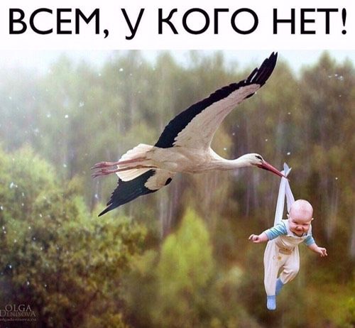 Минутка доброты??