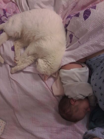 Минуты тишины и спокойствия