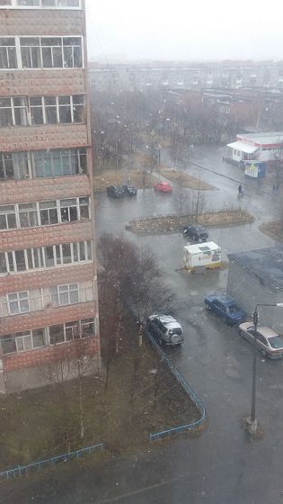 Мои сыночки