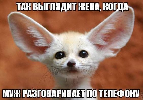 Смех продлевает жизнь