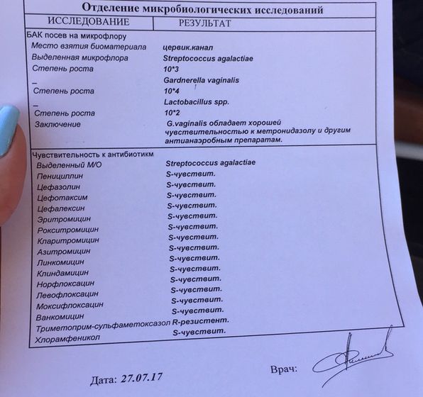 Бакпосев перед ЭКО