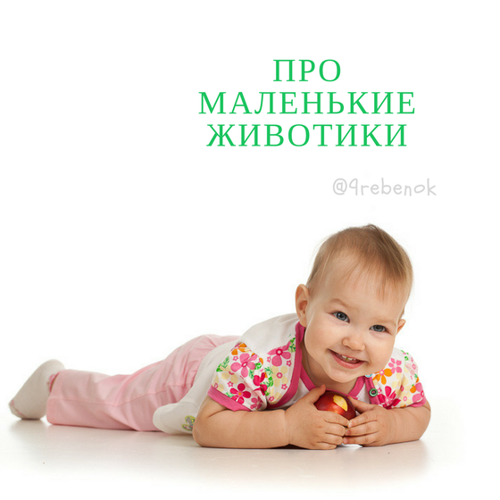 ПРО МАЛЕНЬКИХ ЖИВОТНЫХ, ЖИВУЩИХ В МАЛЕНЬКИХ ЖИВОТИКАХ