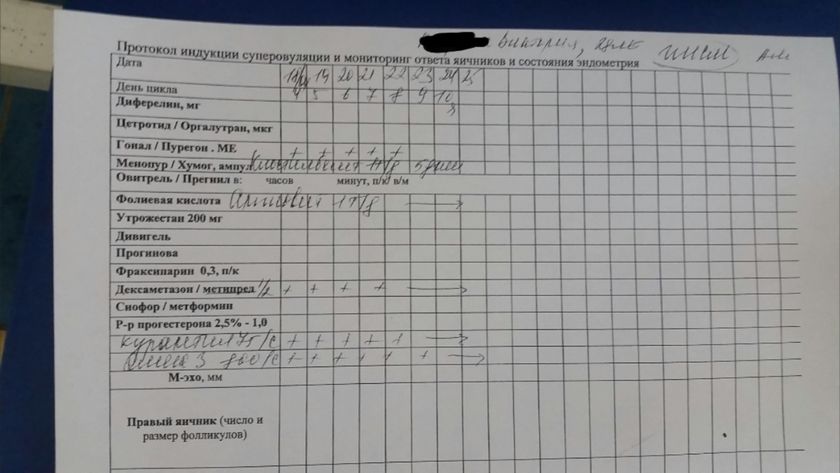 Стимуляция и инсеминация