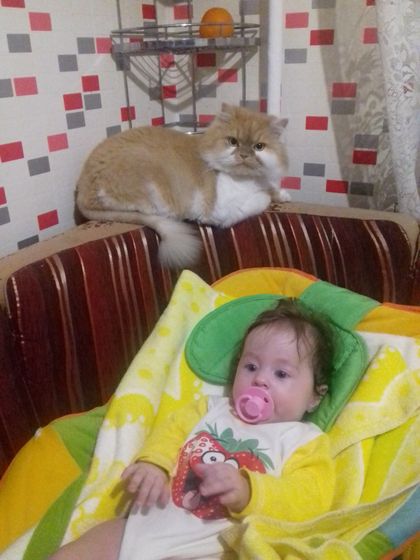 Елизавета Юрьевна