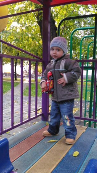 Гимнастика и поведение