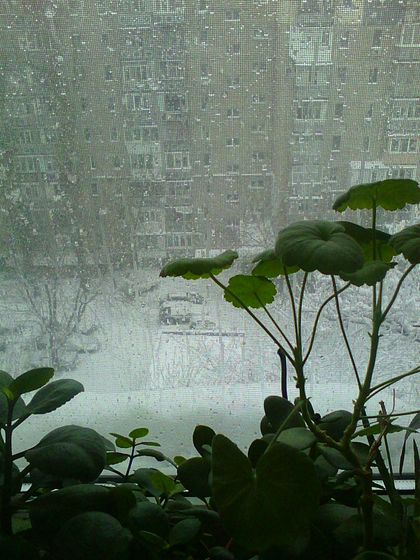 Зима... Снег...