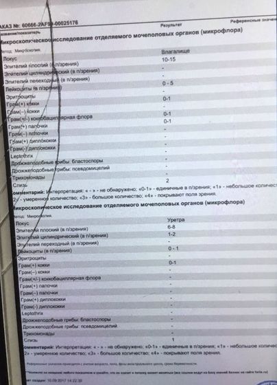 Эко