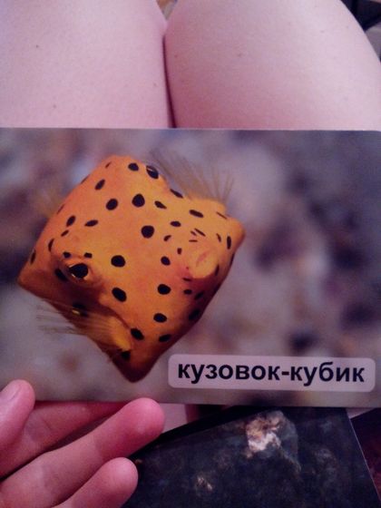Атлантический океан.