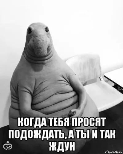 Интересно скоро я рожу??