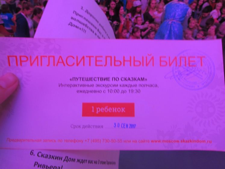 Фестиваль 