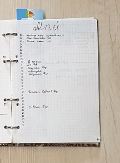 Bullet Journal (6)