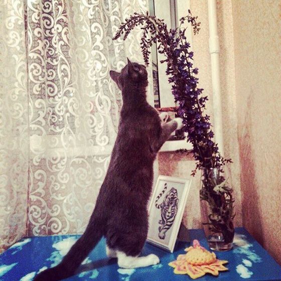 вышиваю