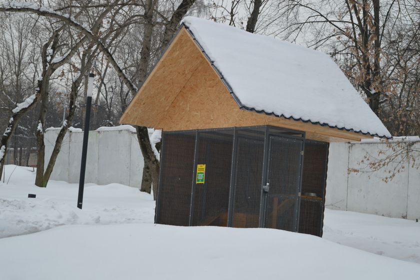 ВДНХ, 15.02.2018, часть 1.