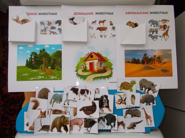 Чем мы занимаемся...