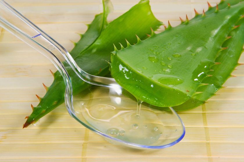Девочки, как колоть алоэ