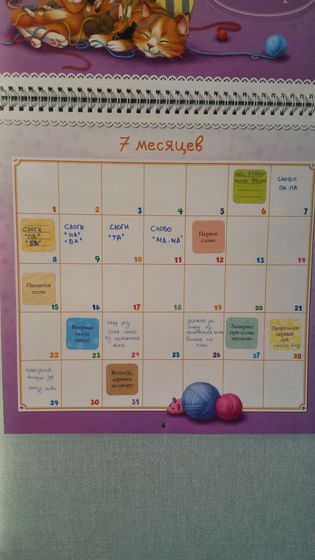 8 месяцев