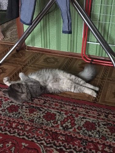 Воскресный позитиФ