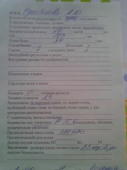 24 недели)))
