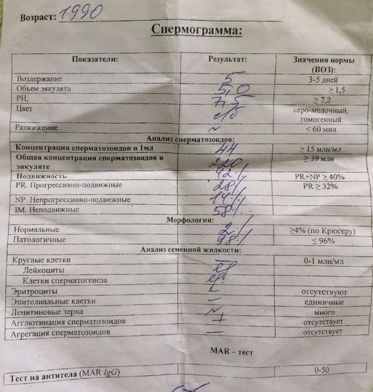 Спермограмма?