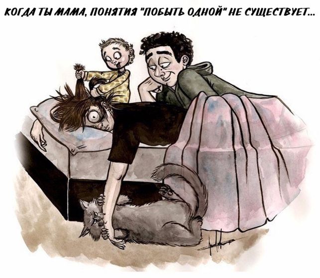 Нам только кота не