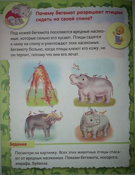 4ю тетрадь выкладываю но уже о животных. Была о птицах , море , земле.