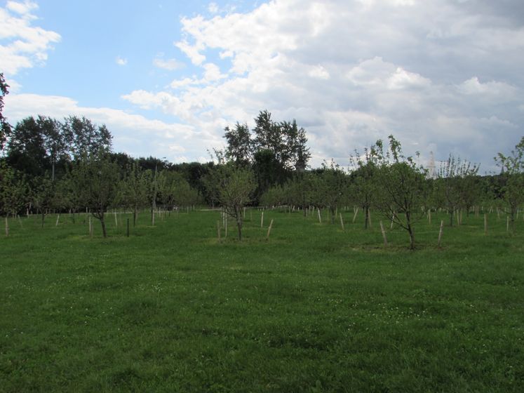 Прогулка в Коломенском. Ч.1.