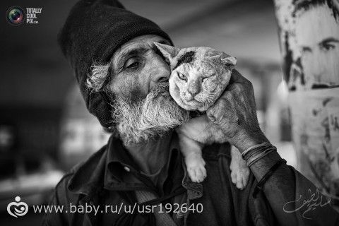 Мастер и кот