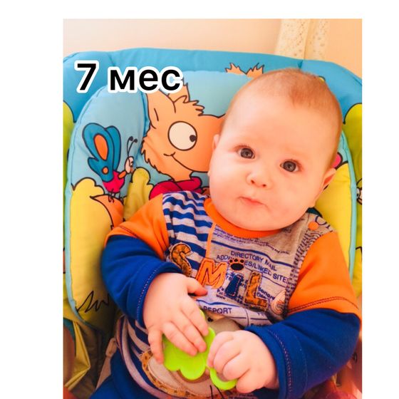 7 месяцев!!!