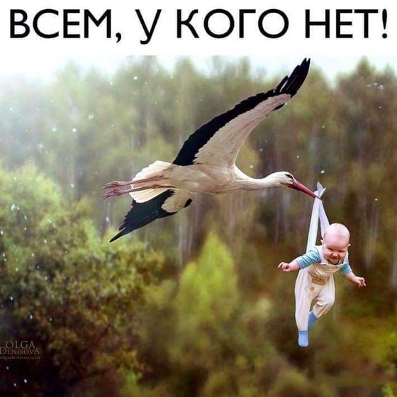 Желаю всем, кто хочет 👪