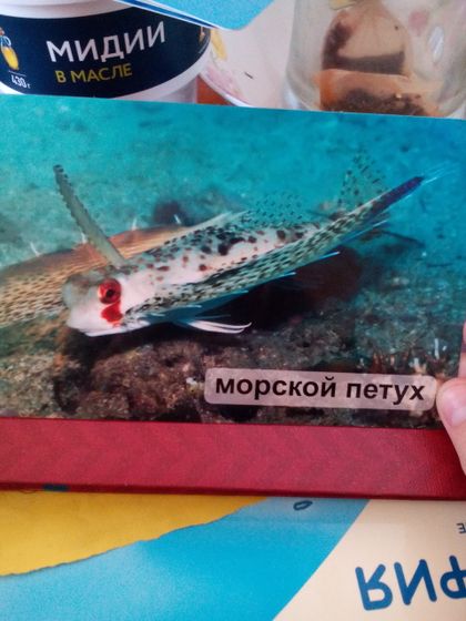 Атлантический океан.