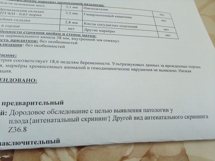 Дородовой Антенатальный скрининг