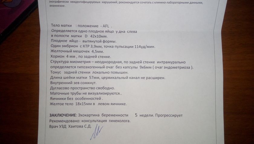 УЗИ и сердечко