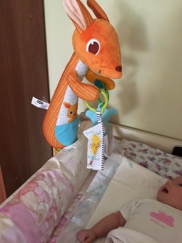 Kangaroo ))