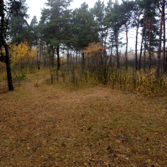 Беременяшек должна окружать красота...