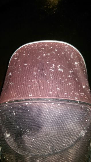Дождевик зимой ❄