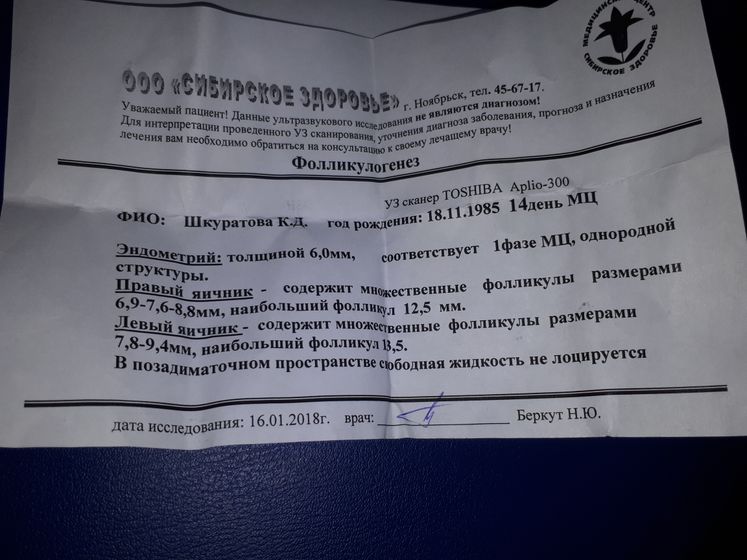 Сегодня 17 дц.