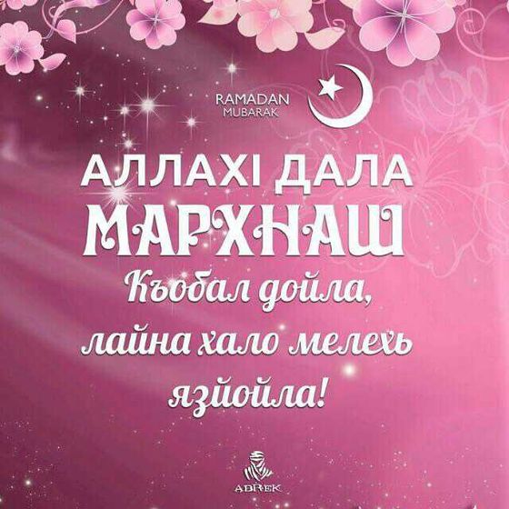 Мусульманки сестрёнки???