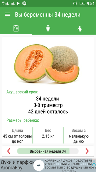 Мои 34 недельки??