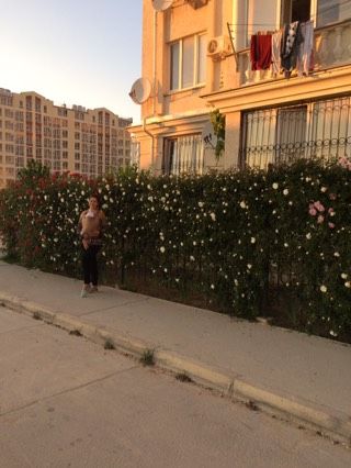 День папы,папочки,папули!)