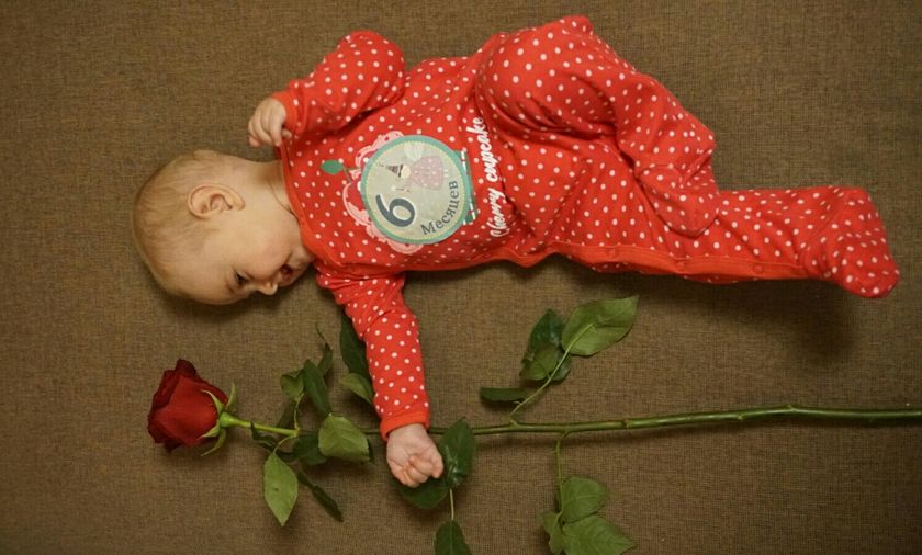 6 мес. И первый наш серьёзный юбилей: фотоотчёт