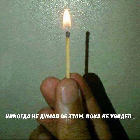 А ведь правда
