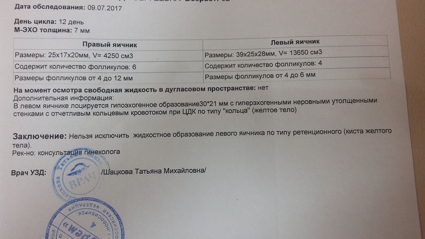 ШАГ 3. ФОЛЛИКУЛОГИНЕЗ