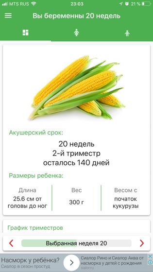 Наш Экватор)))