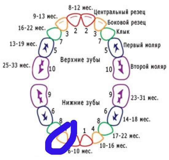 5 месяцев ожидания???